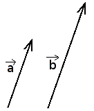 Kolinearūs vektoriai (vienos krypties)